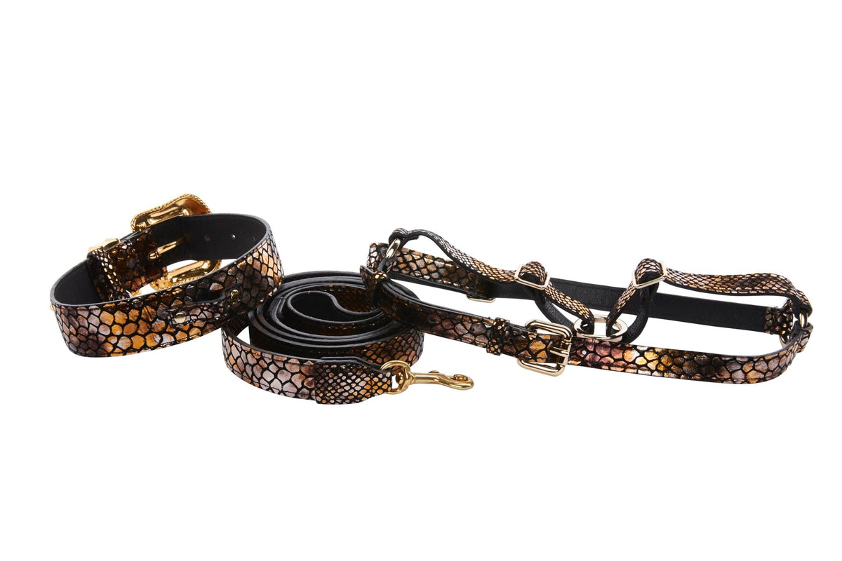 Allysa Payne Mermaid Style Embossed Italian Leather/Swarovski Dog Collar, Leash & Harness Set