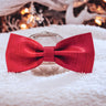 The Ruby Bow Tie