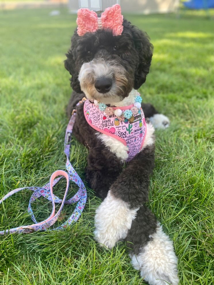 Necklace: Kotton Kandy