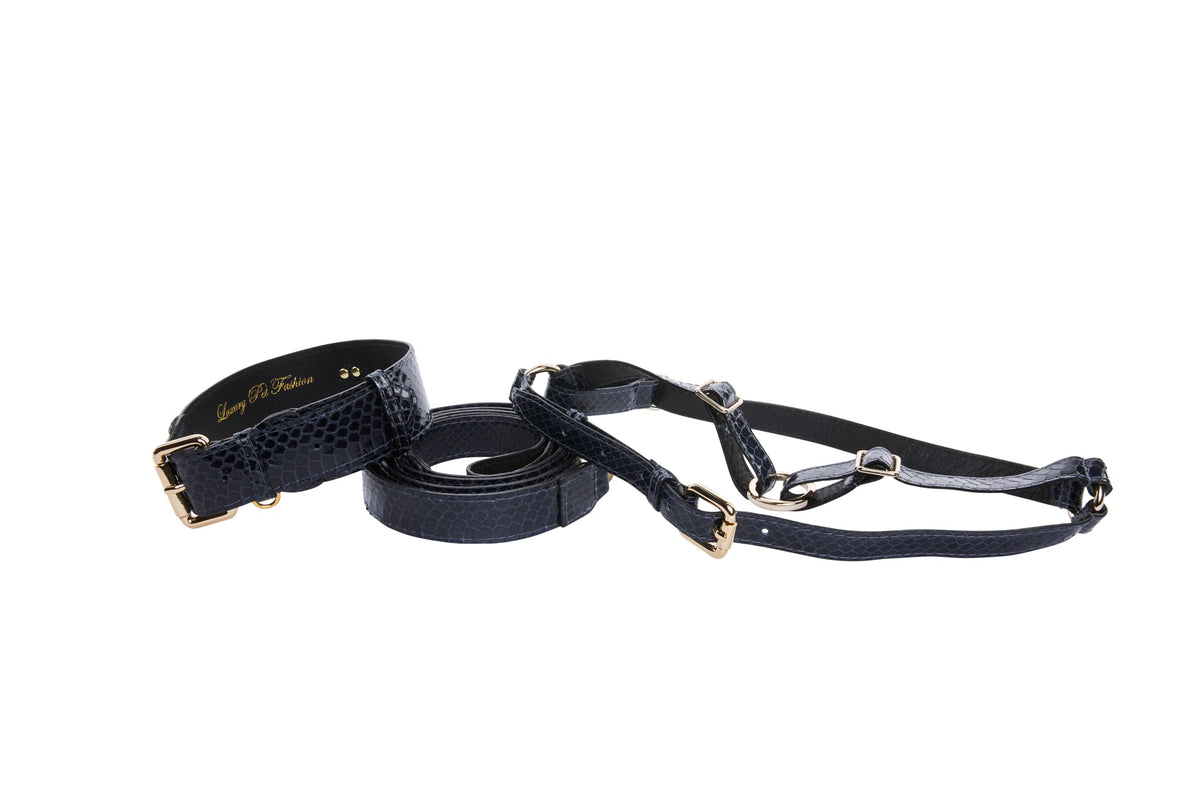 Allysa Payne Navy Blue Snake Classic Hardware Dog Collar, Leash & Harness Set