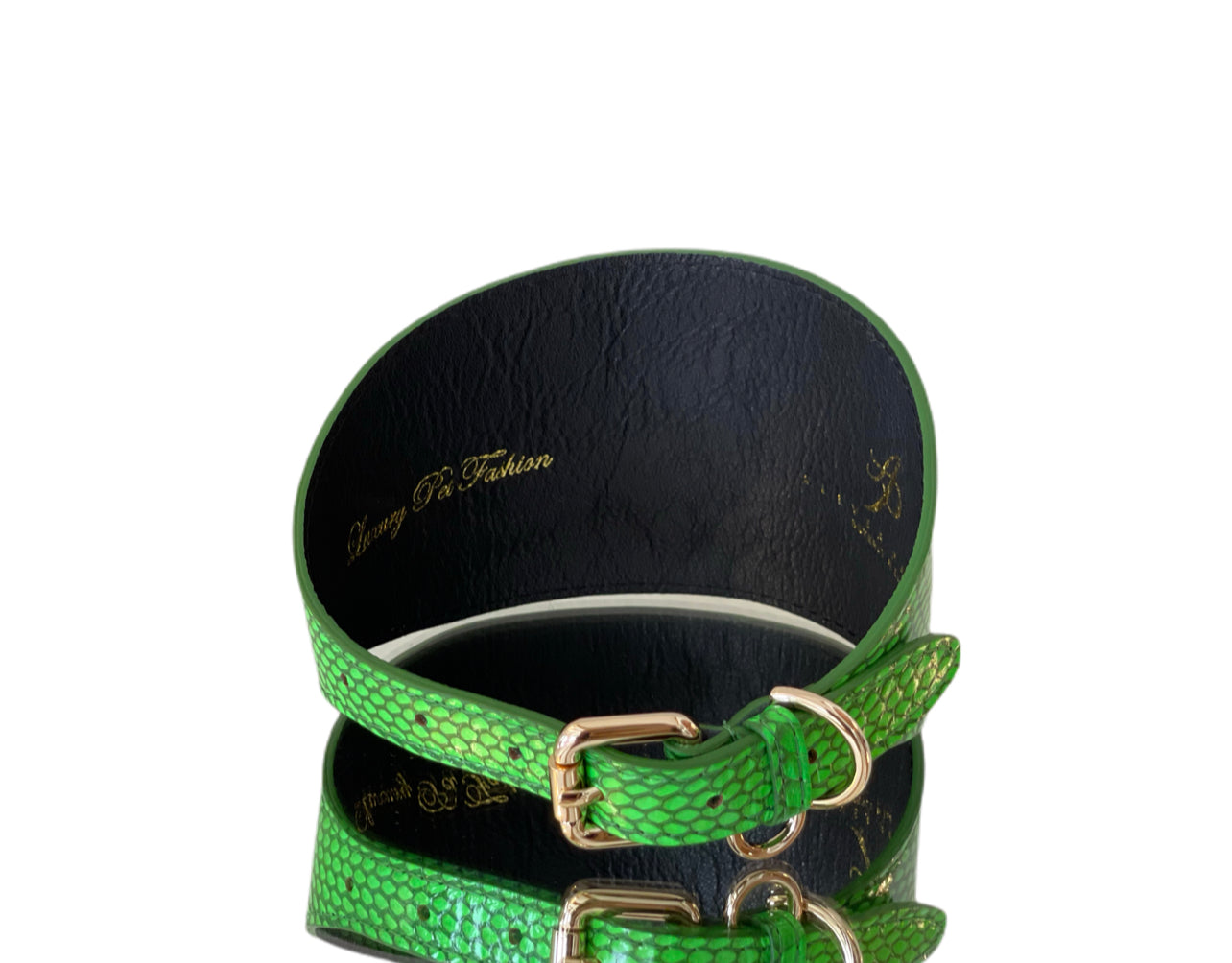 Allysa Payne Luxury Pet Fashion Neon Green Snake 4" Oval Dog Collar