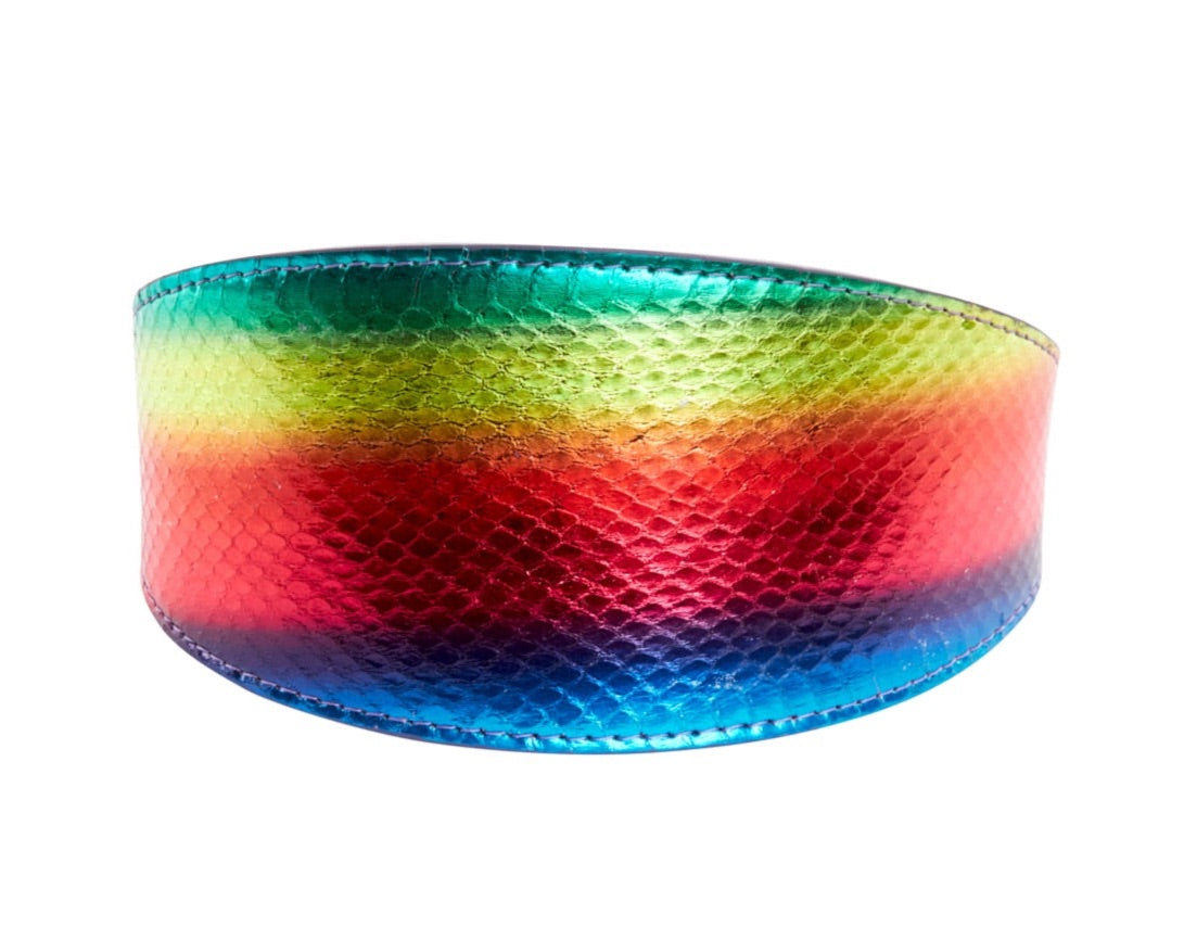 Pride Collection. Rainbow Snake 3” Wide Style Collar