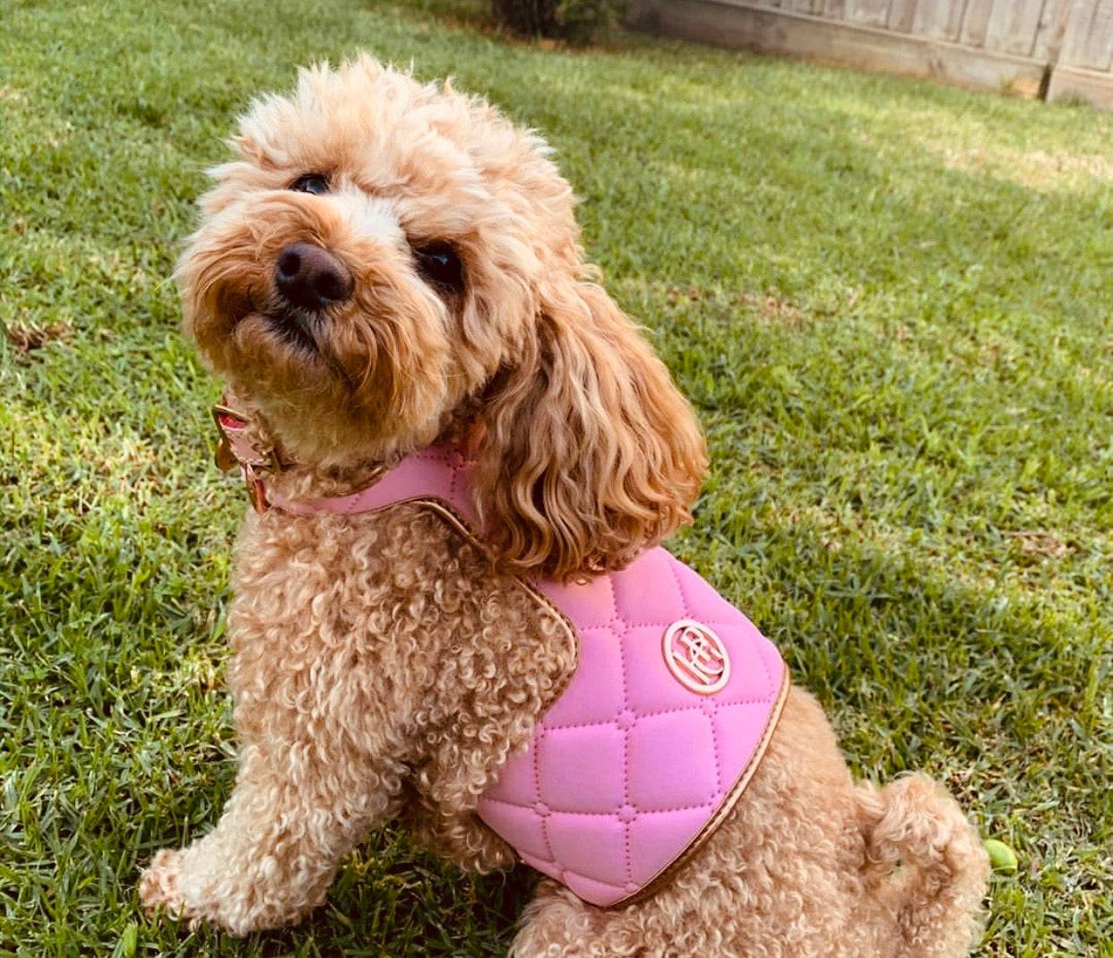 The Peony Dog Harness