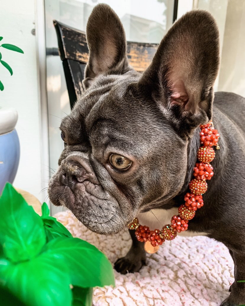 Necklace: Pumpkin Spice