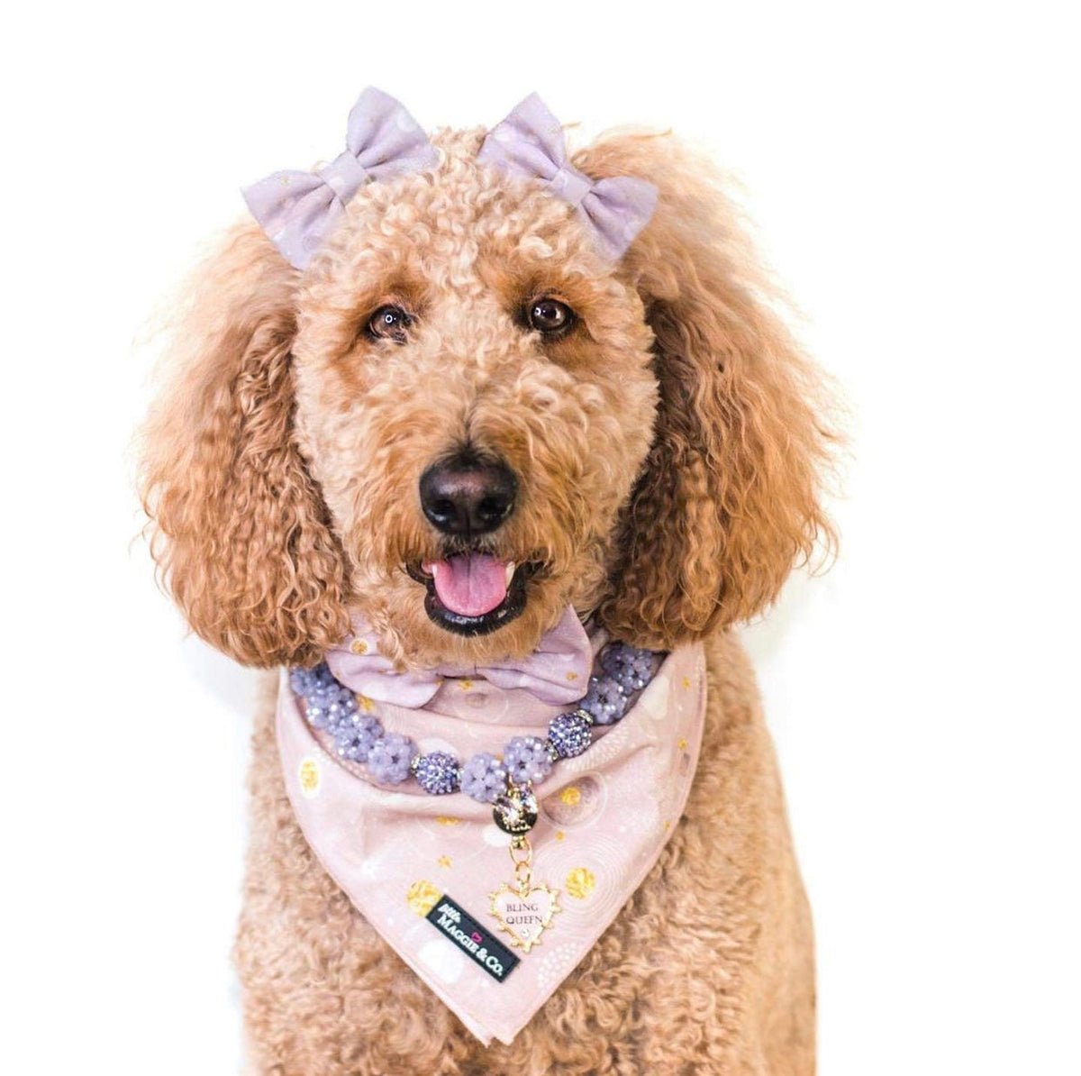 Bandana Set: Cosmic
