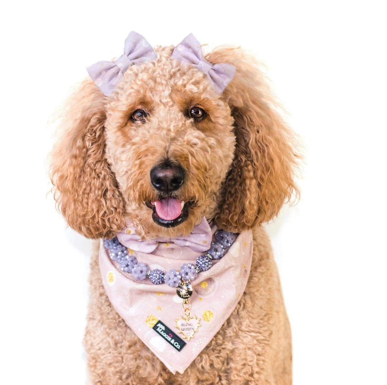 Bandana Set: Cosmic
