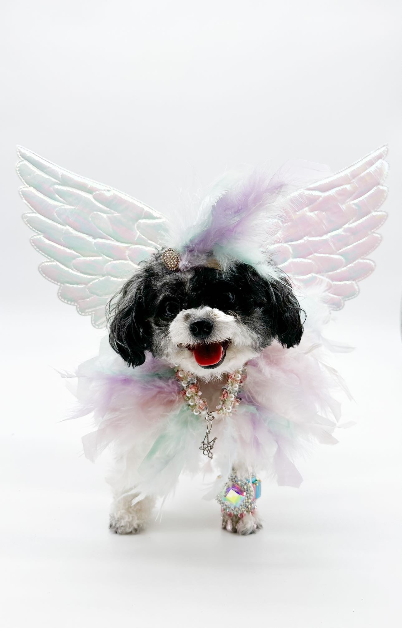 Spring Haute: Fairies Feathery Collar