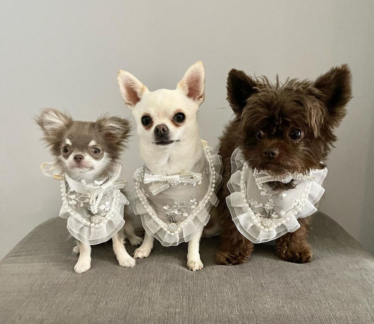 Romance Collection: Forever