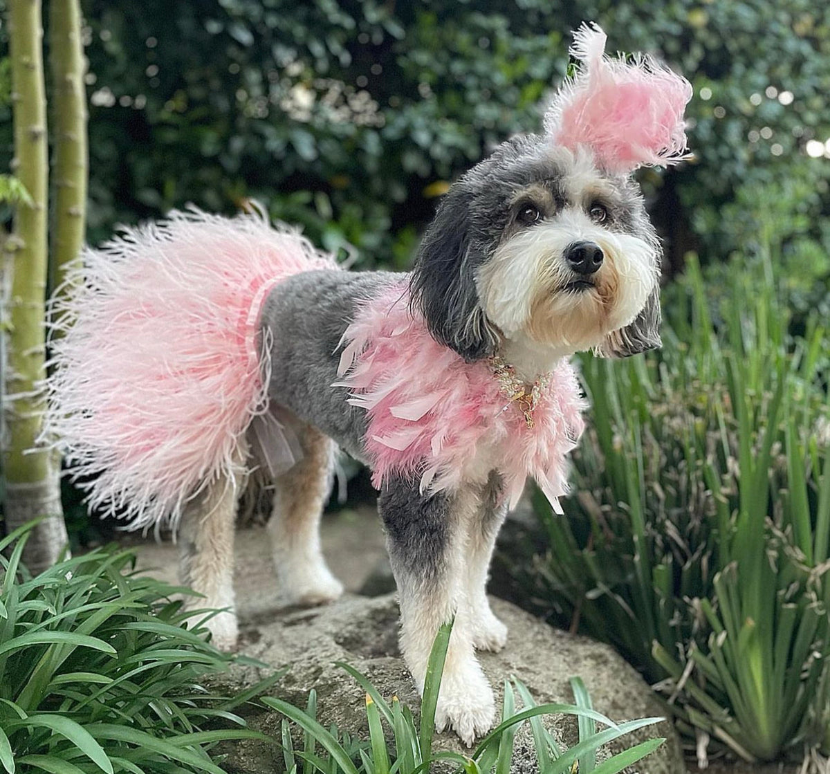Haute: Whimsical*