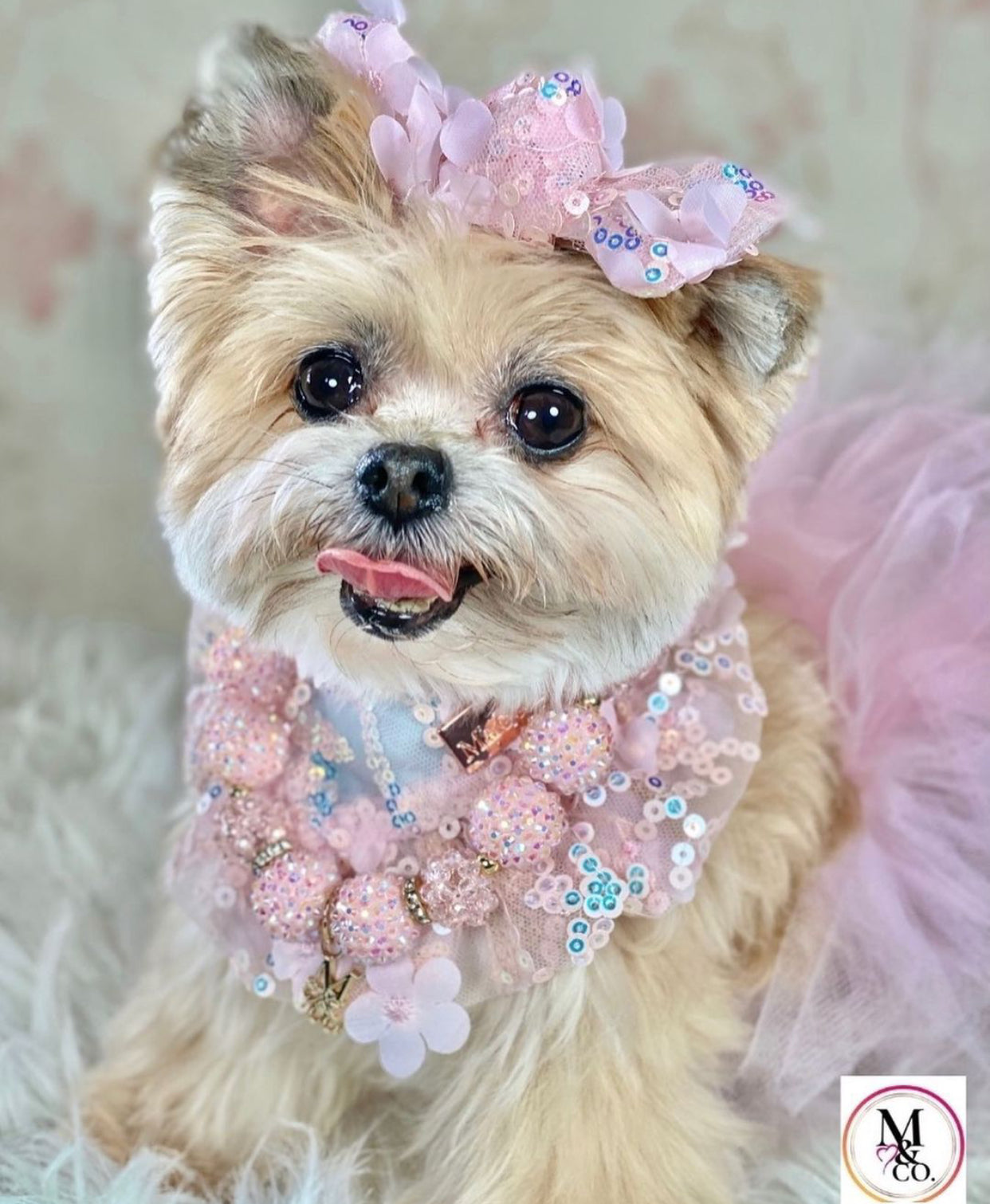 Celebrations: The Delilah Set