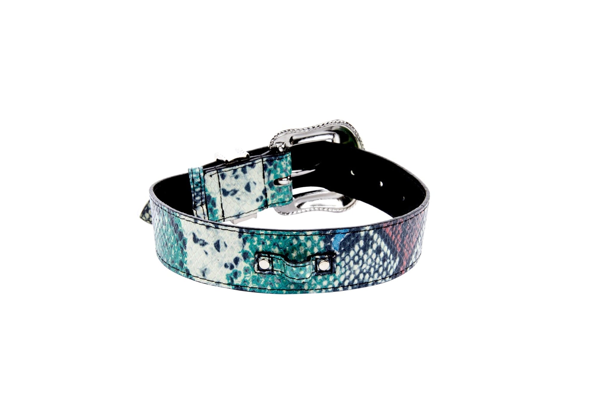 Allysa Payne Green, Blue, Black, Red Embossed Snake Italian Leather Dog Collar With Silver Swarovski Hardware