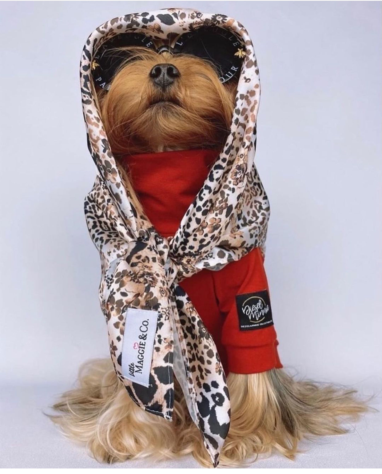 Classics: On the Prowl