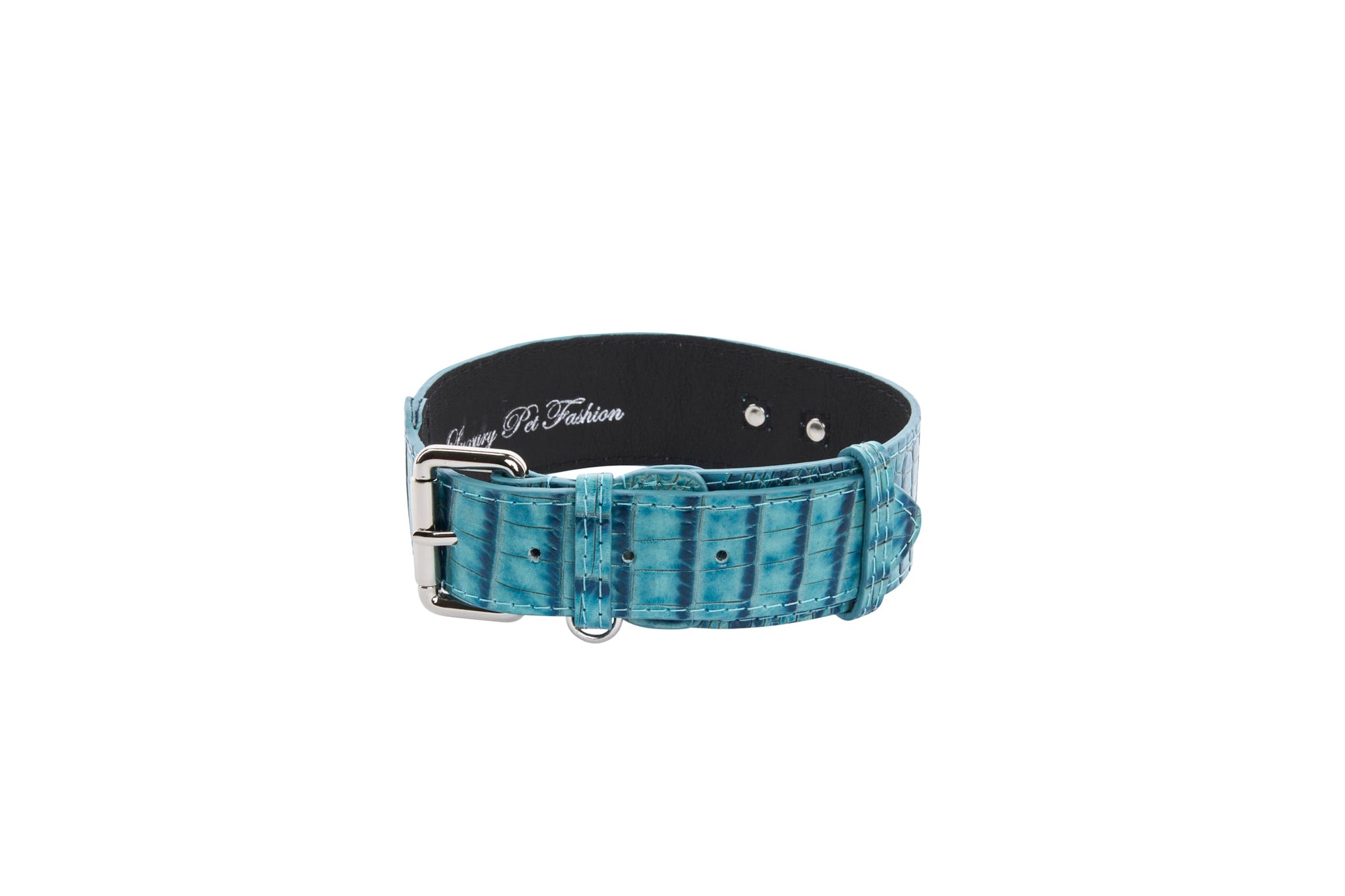 Allysa Payne Turquoise Embossed Croc Italian Leather With Silver Classic Hardware Dog Collar