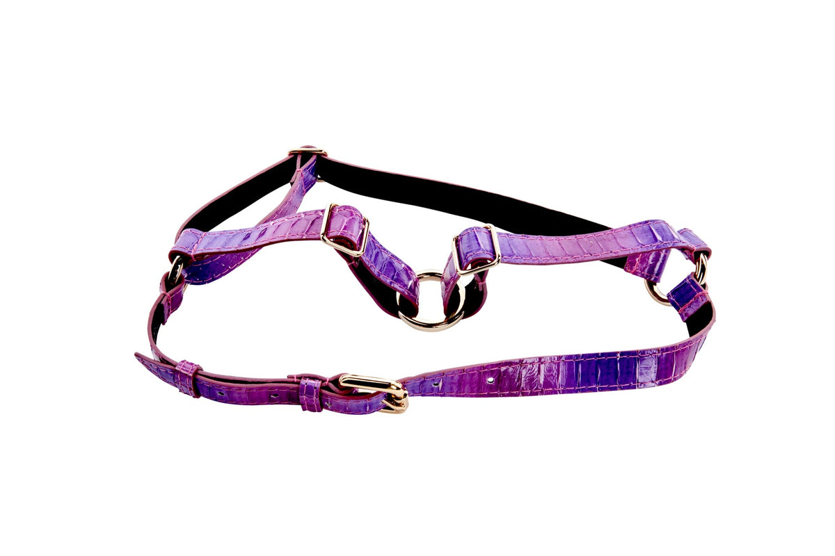 Allysa Payne Two Tone Purple Snake Dog Harness