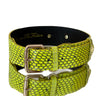Luxury Pet Fashion Neon Green Snakeskin Collar/Classic Hardware