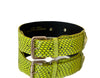 Allysa Payne Luxury Pet Fashion Neon Green Snakeskin Dog Collar/Classic Hardware