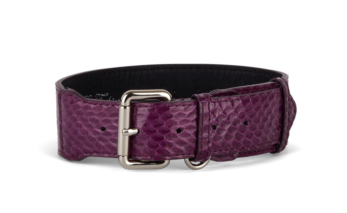Allysa Payne Eggplant Purple Snake Classic Dog Collar
