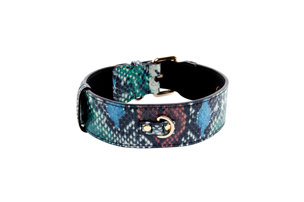 Allysa Payne Green, Blue, Black, Red Embossed Snake Italian Leather Dog Collar With Gold Classic Hardware