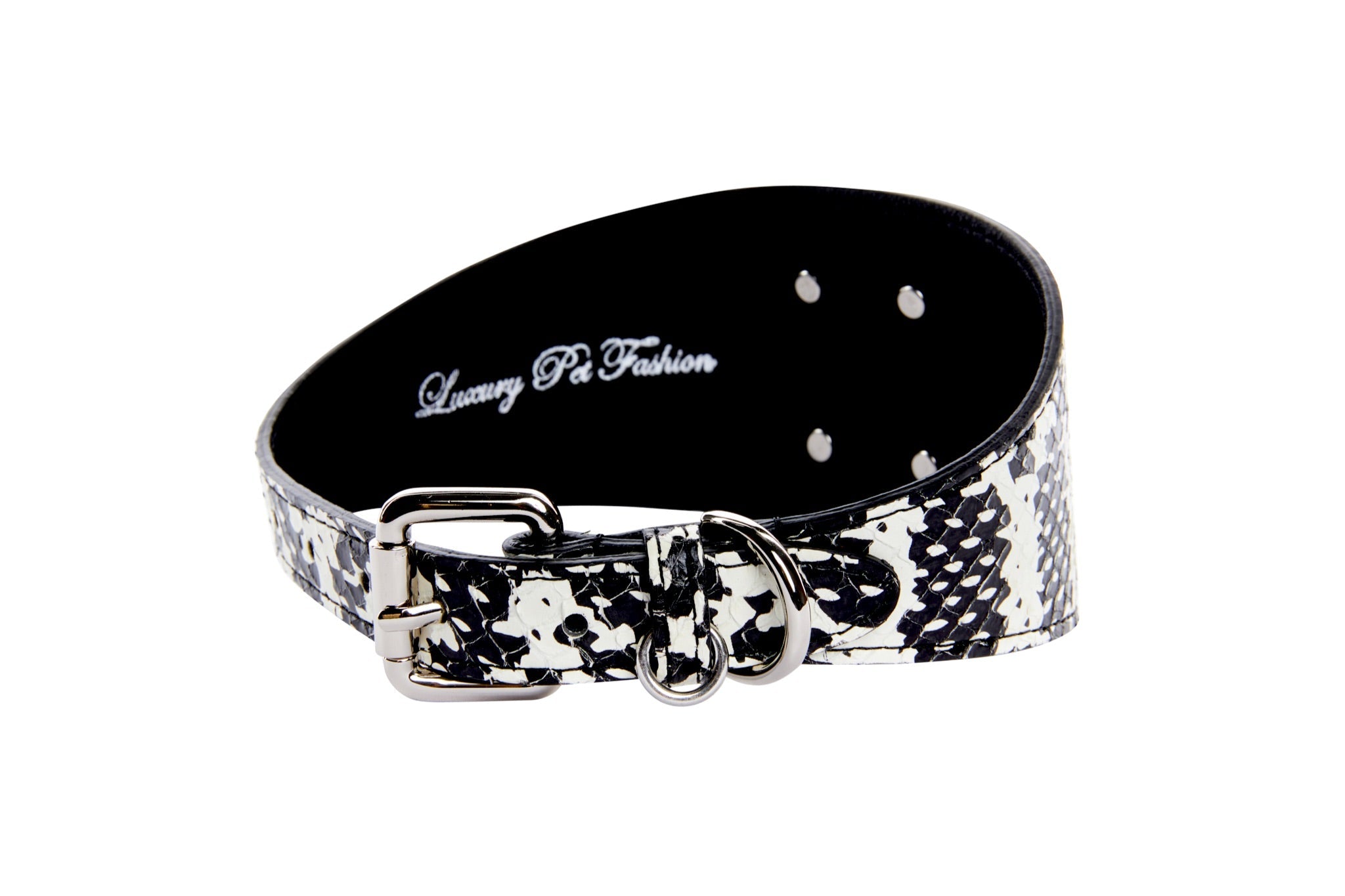 Black & White Snake Wide Style 3"Collar With Large Silver Rivet
