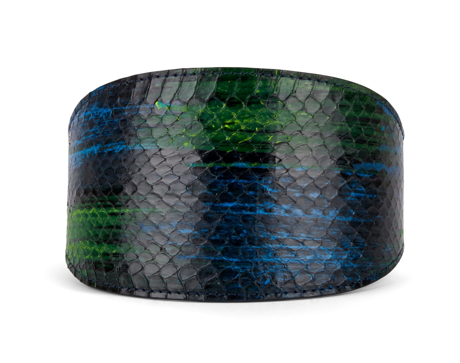 Allysa Payne Blue, Green, Black, Yellow Snake 4-Inch Wide Style Dog Collar