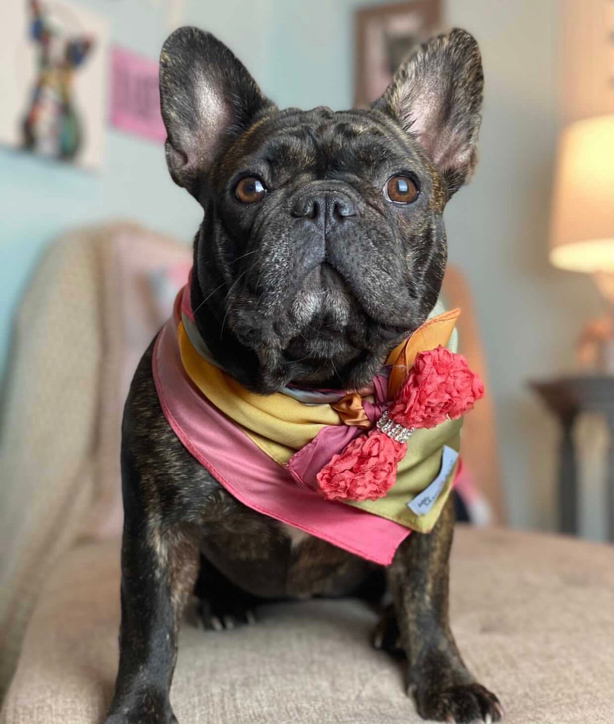 Furever Roses: Romance
