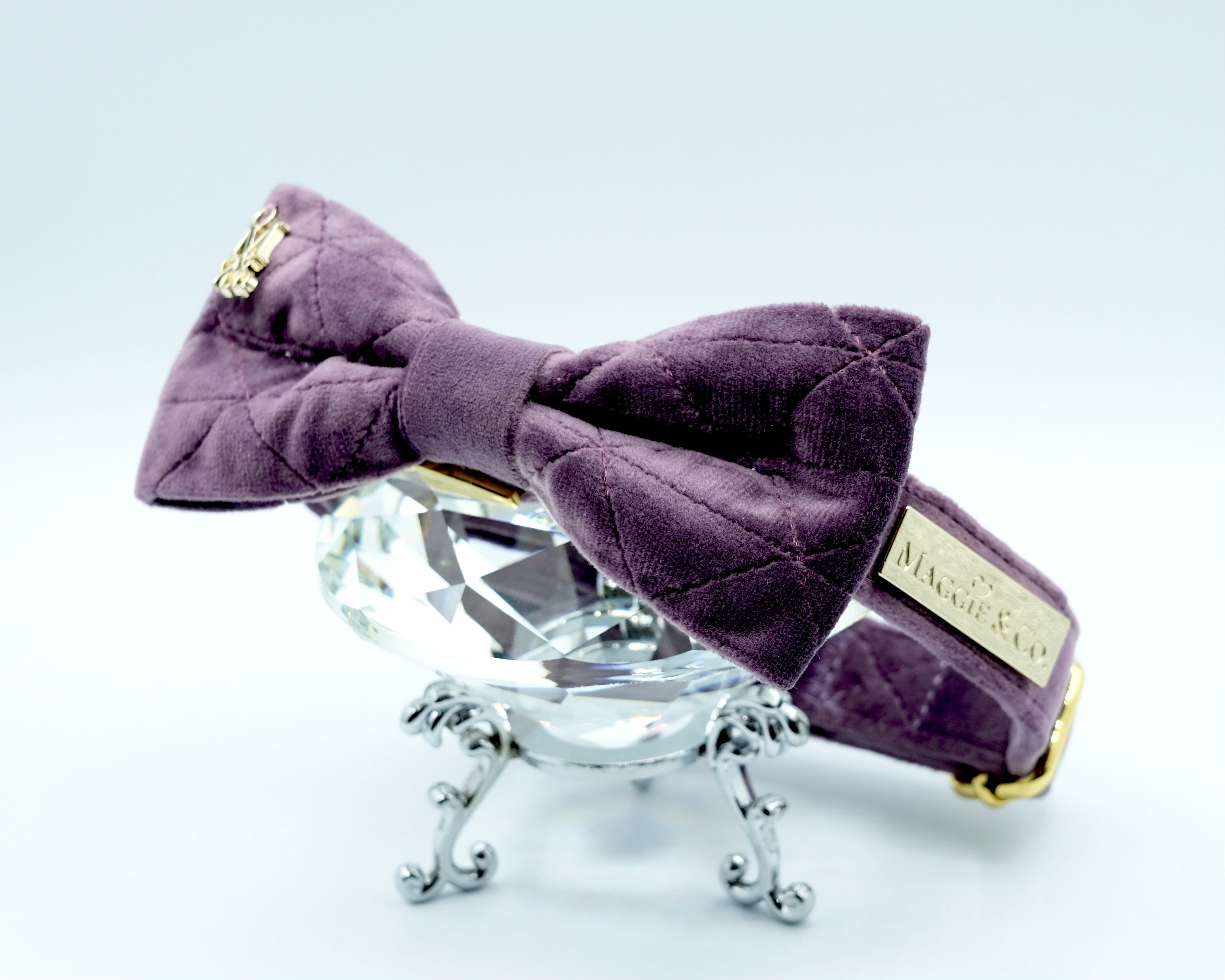 Velvet: The Susana Bow Tie Collar