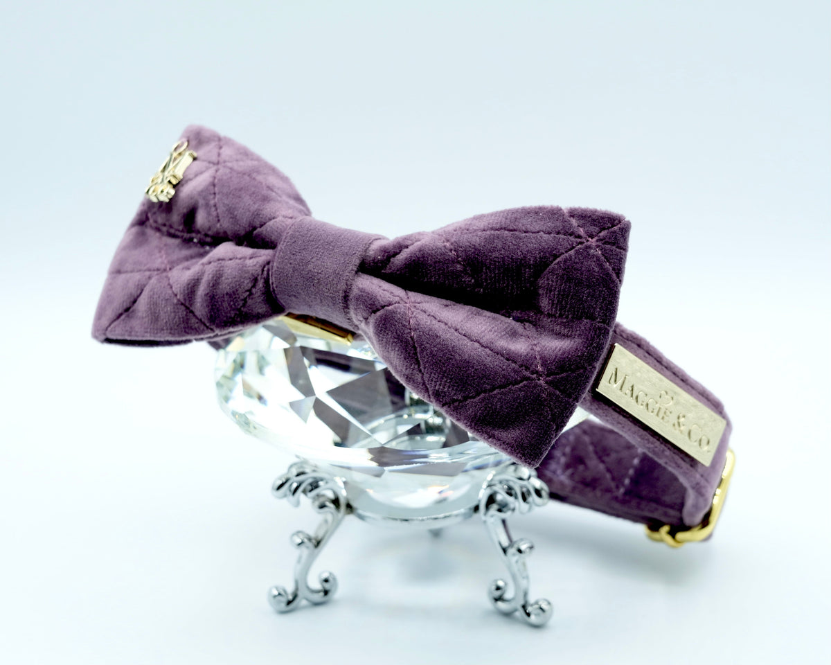 Velvet: The Susana Bow Tie Collar