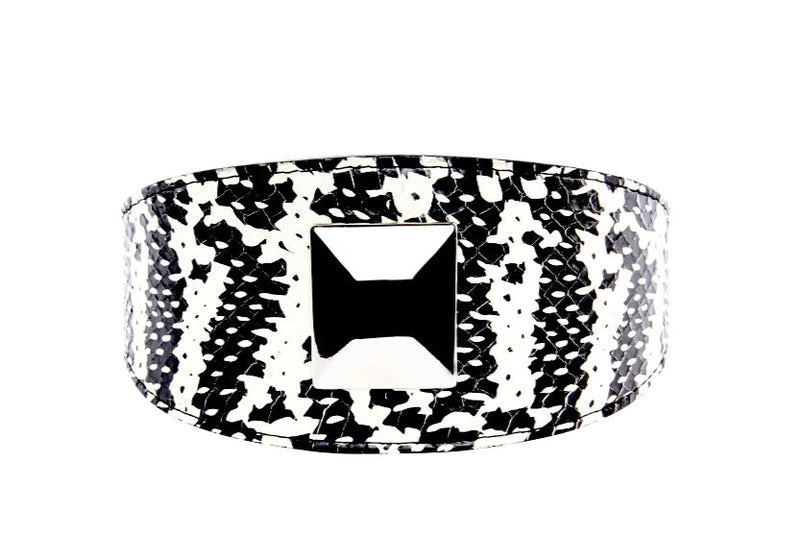 Black & White Snake Wide Style 3"Collar With Large Silver Rivet
