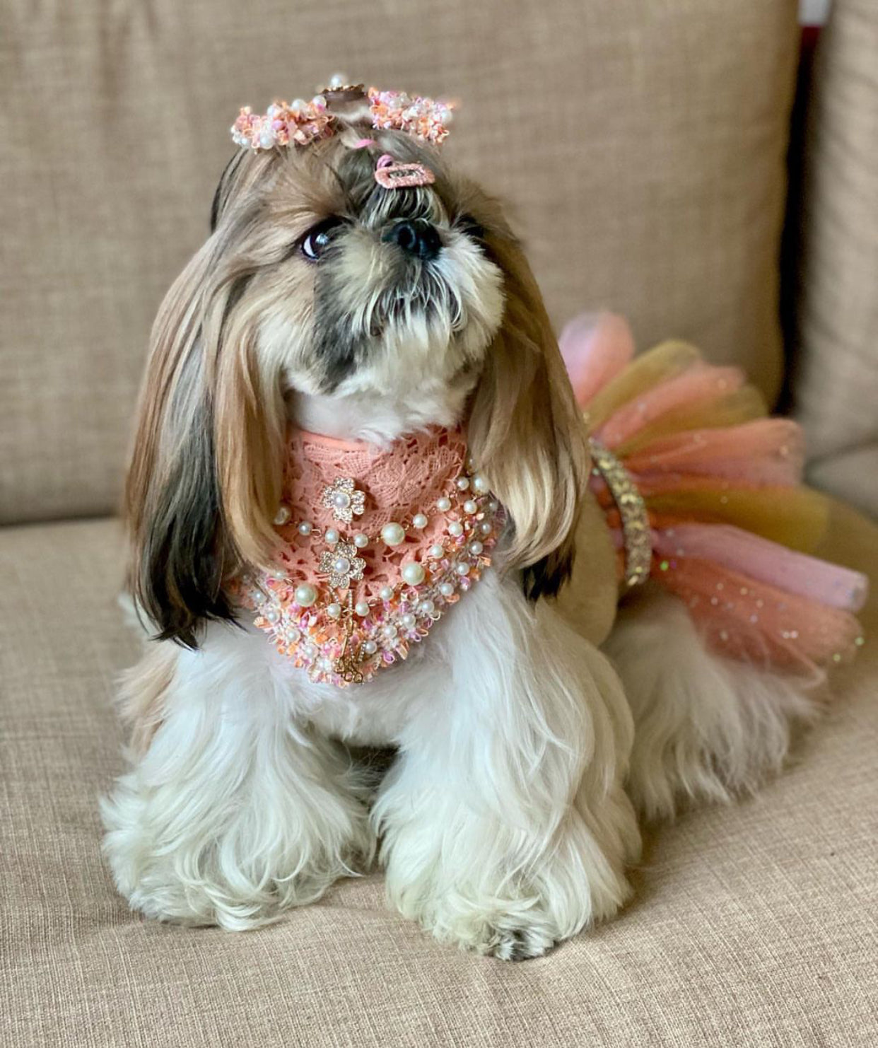 Romance Collection: The Sasha