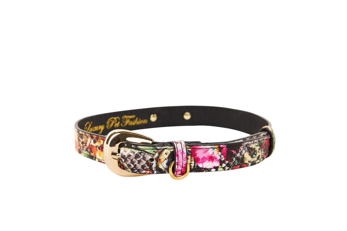 Allysa Payne Floral, Scull, Snake Print Italian Leather Dog Collar With Gold Oval Hardware