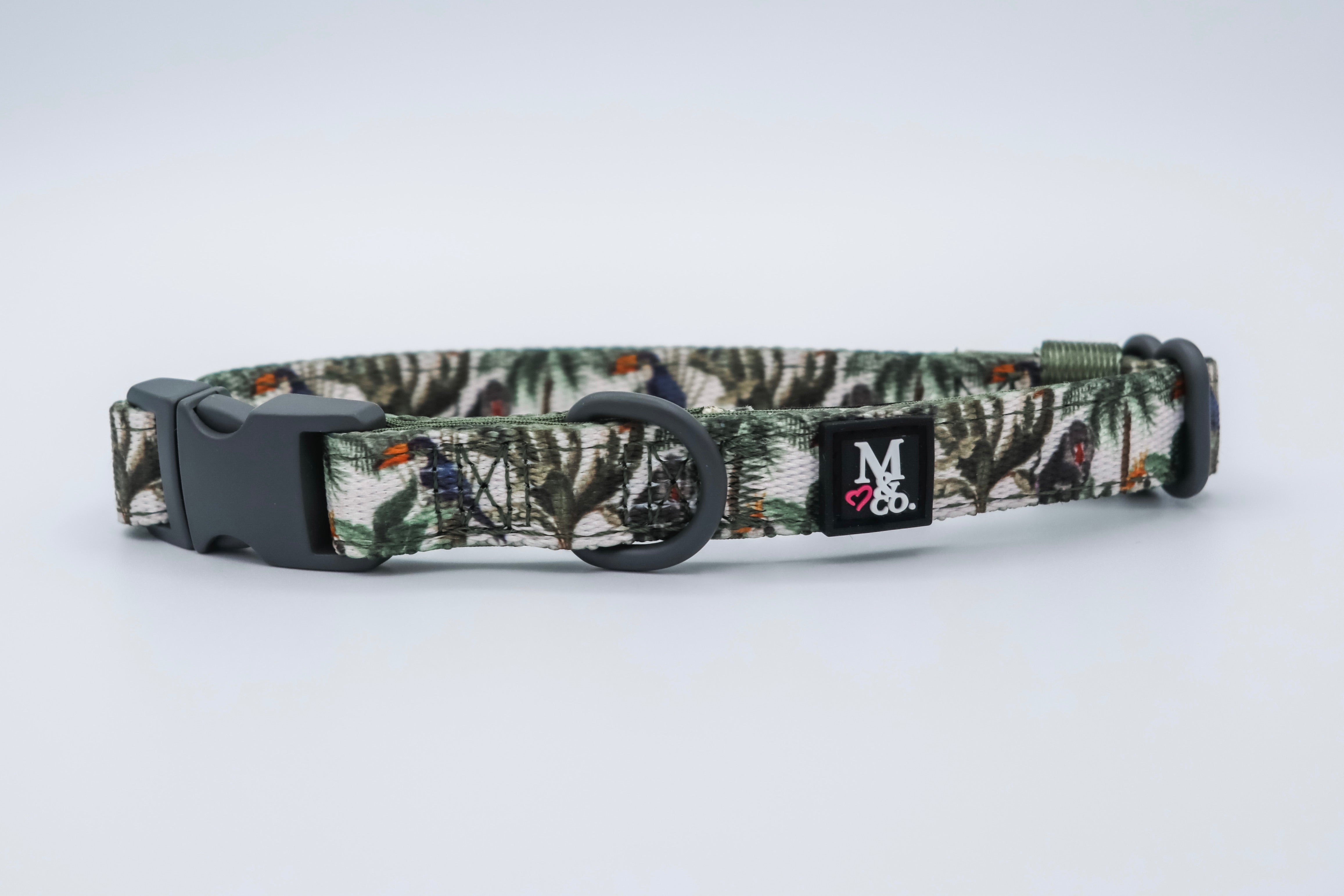 Into the Wild Collar