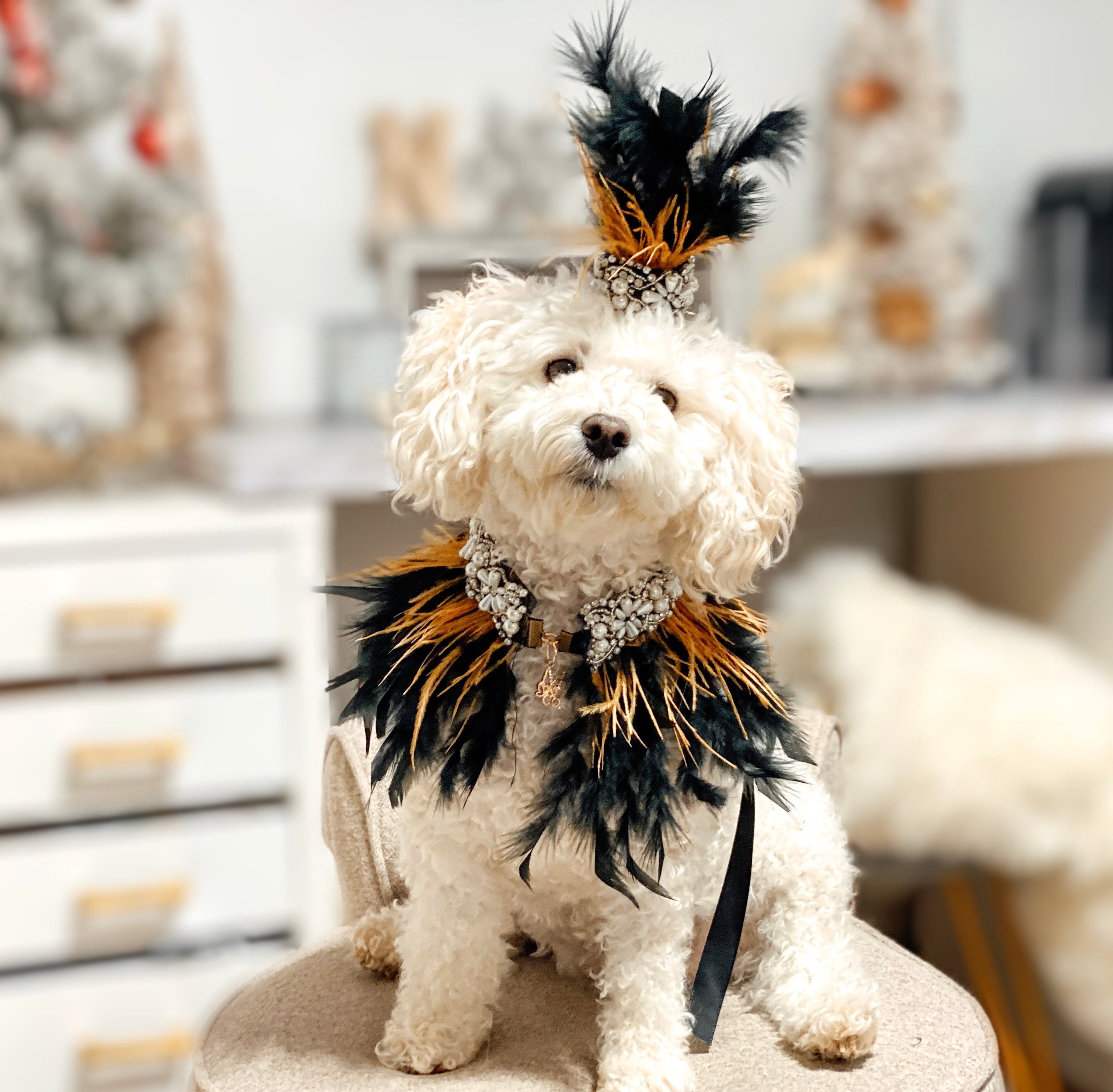 Feather Collection: Formal Ball