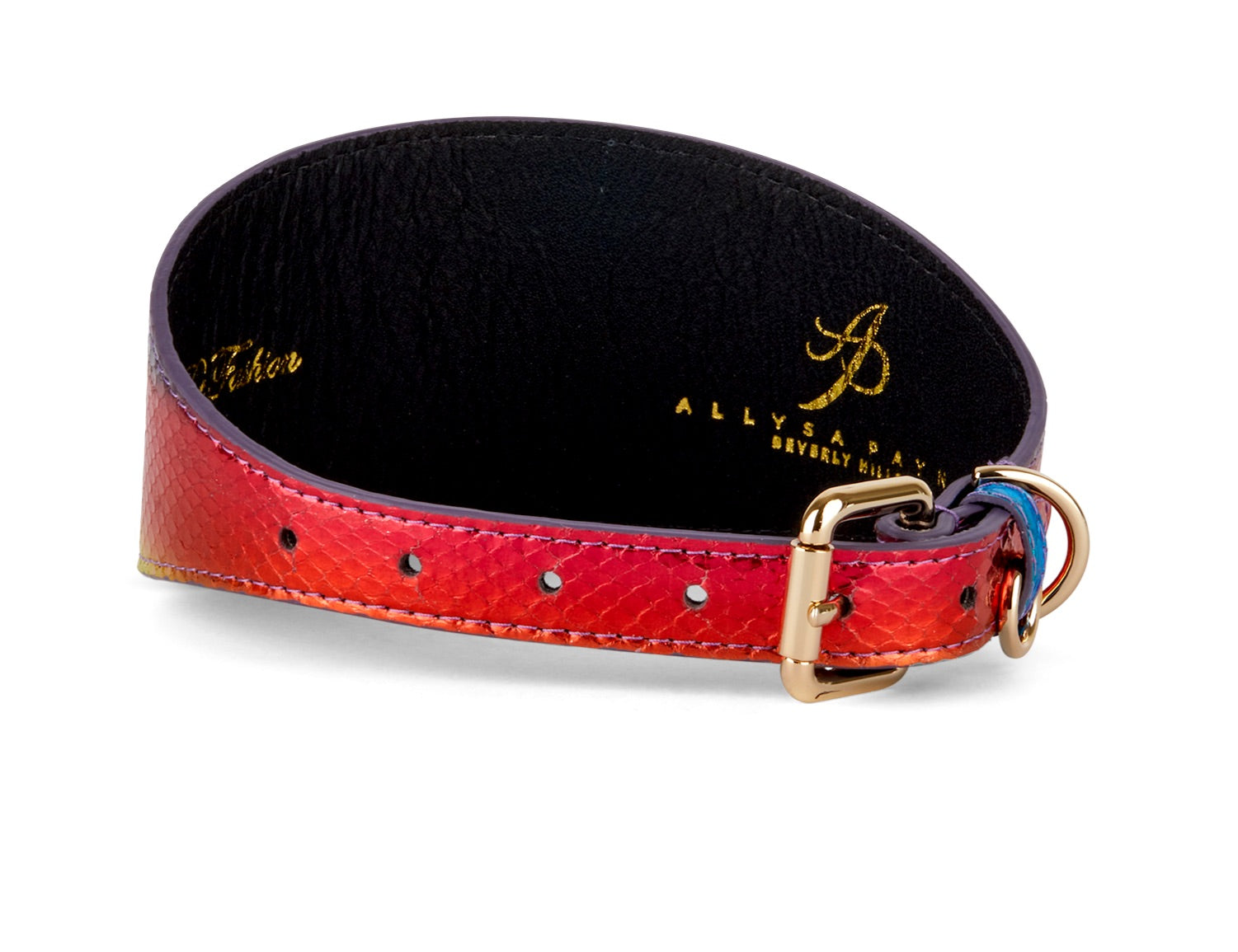 Allysa Payne Rainbow Snake 3-Inch Wide Style Dog Collar