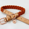 NEW - Dog Collar Cinnamon Rust Plaited