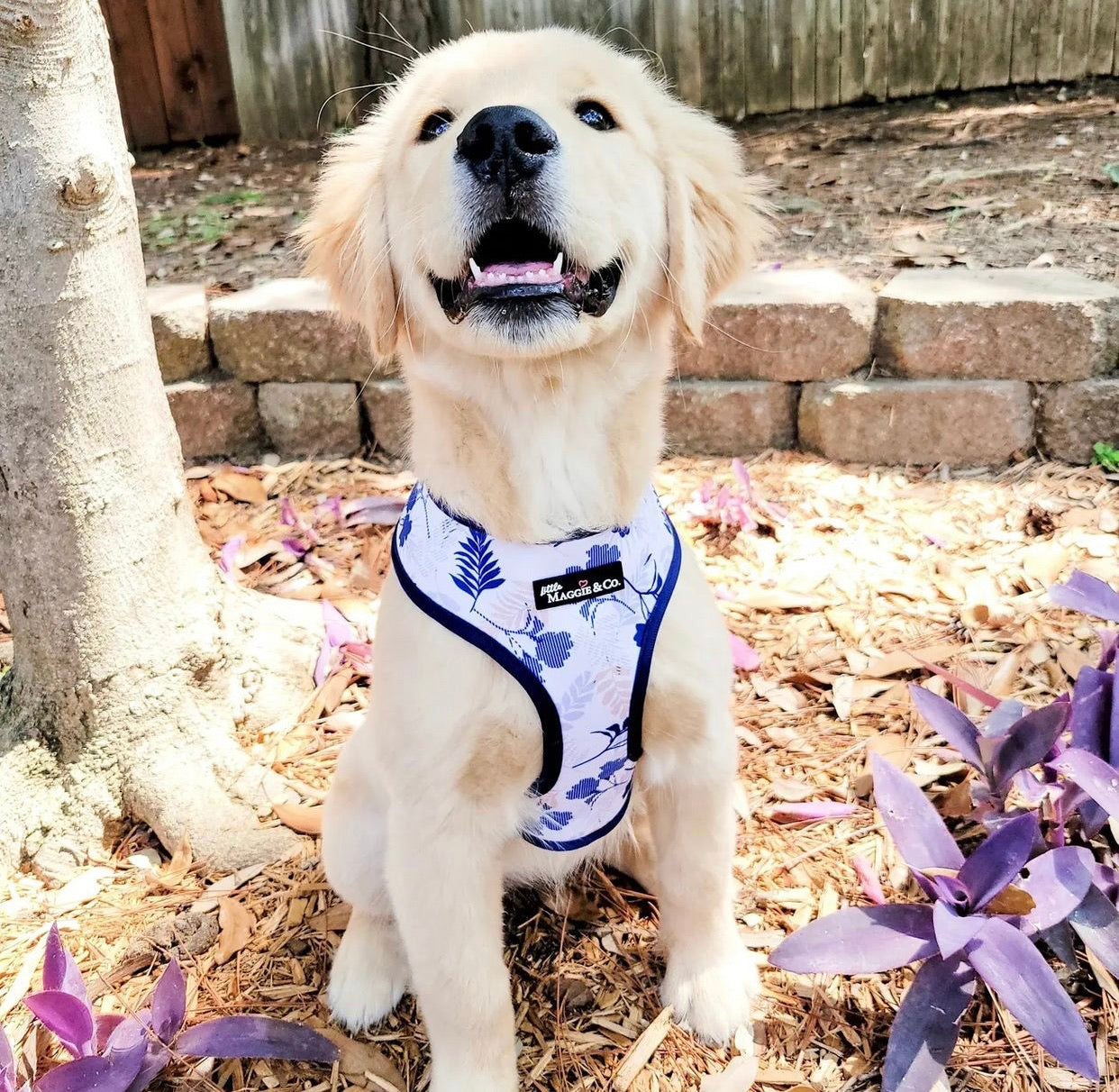 Breezy Reversible Harness