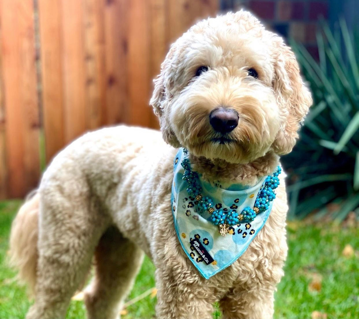 Necklace: The Odie