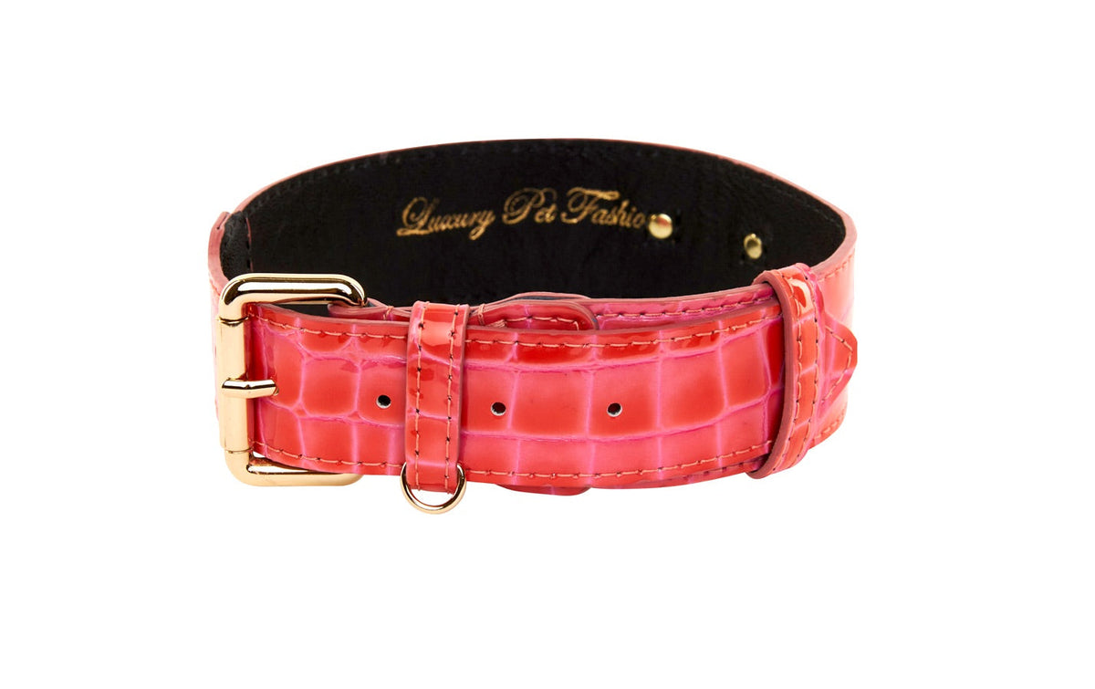 Allysa Payne Orange & Pink Patent Leather Classic Dog Collar