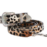 Snow Leopard Hair On Hide Swarovski Collar & Leas Set