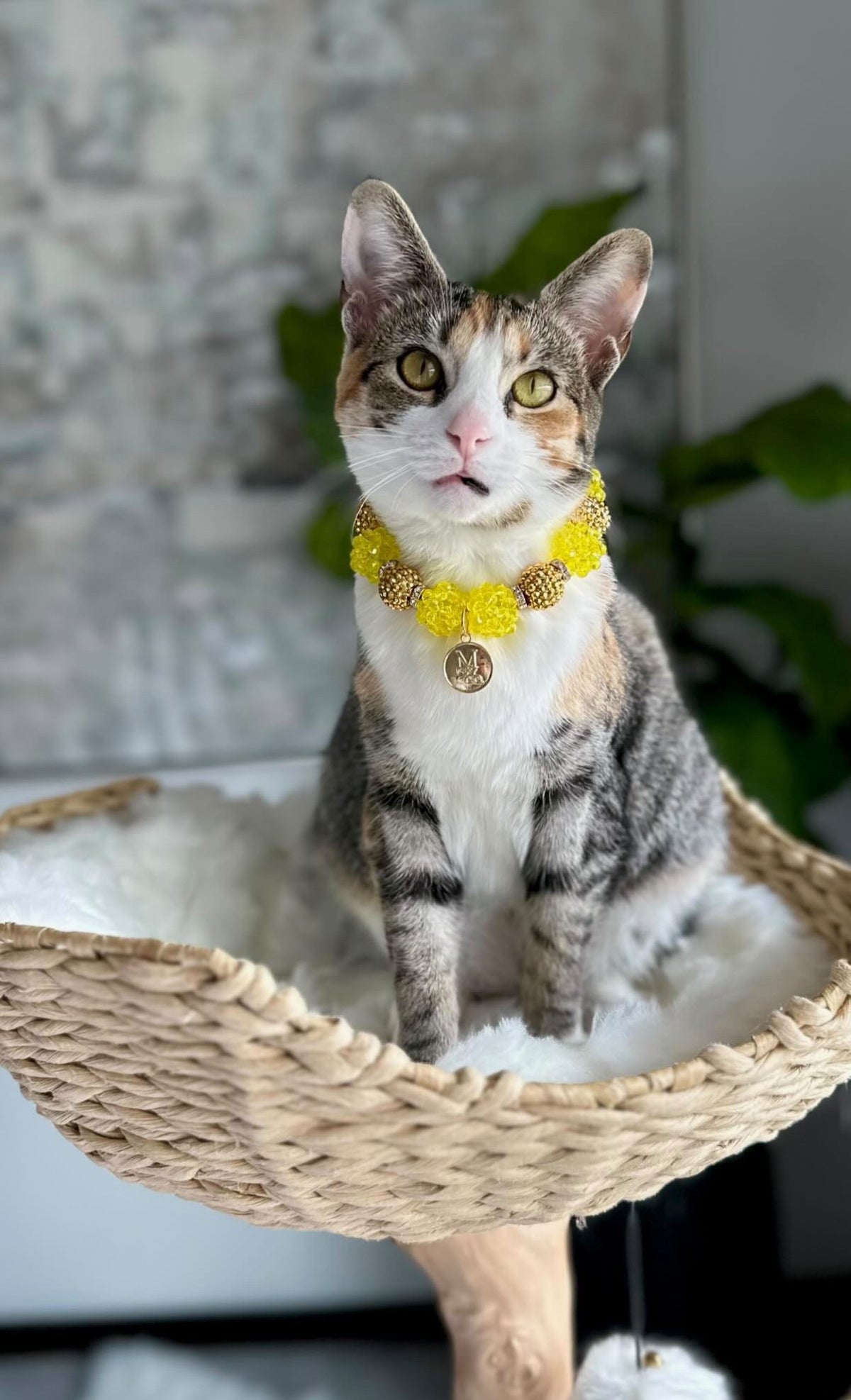 Necklace: Bliss