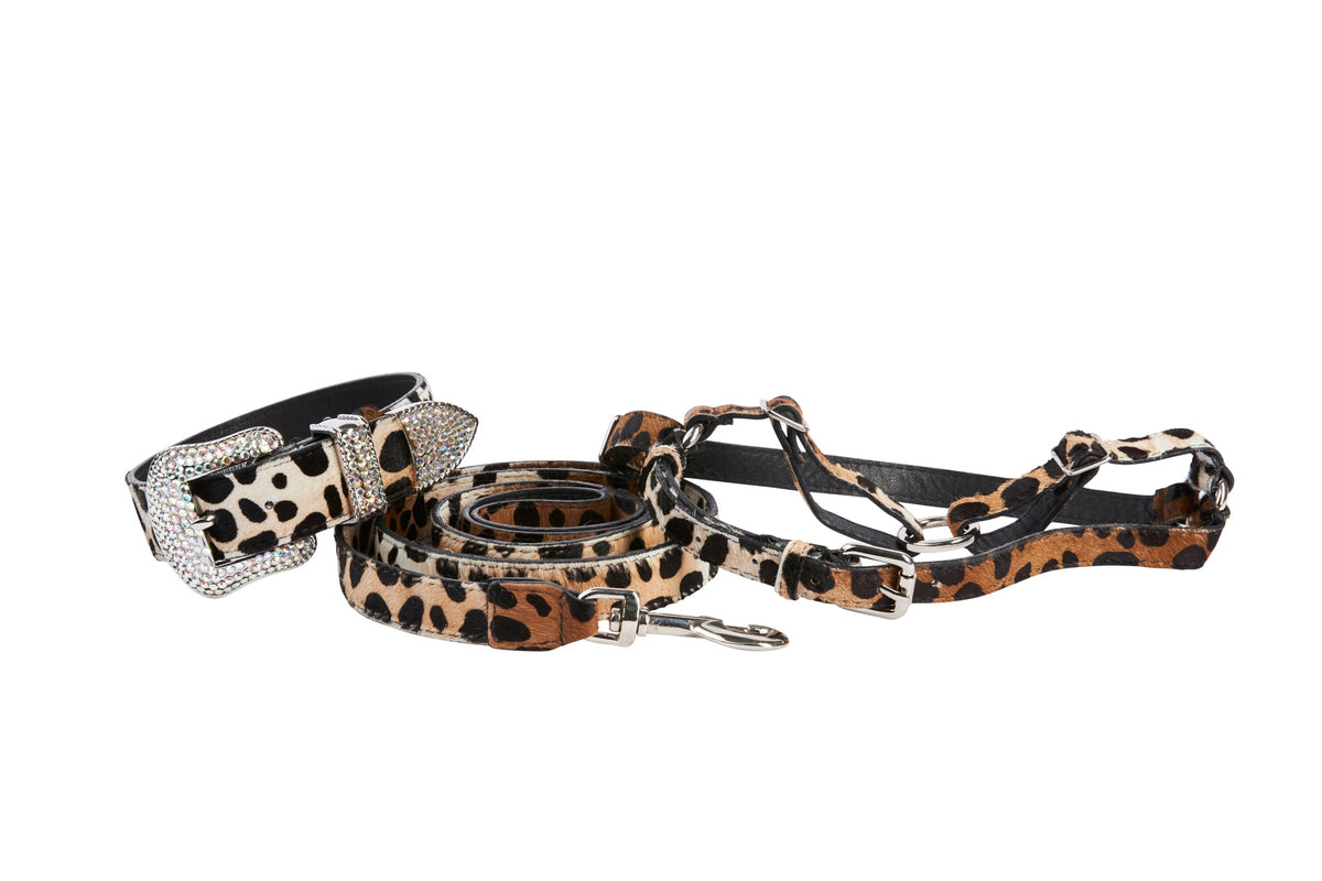 Allysa Payne Snow Leopard Print Hair On Hide Italian Leather Swarovski Crystal Dog Collar, Leash & Harness Set