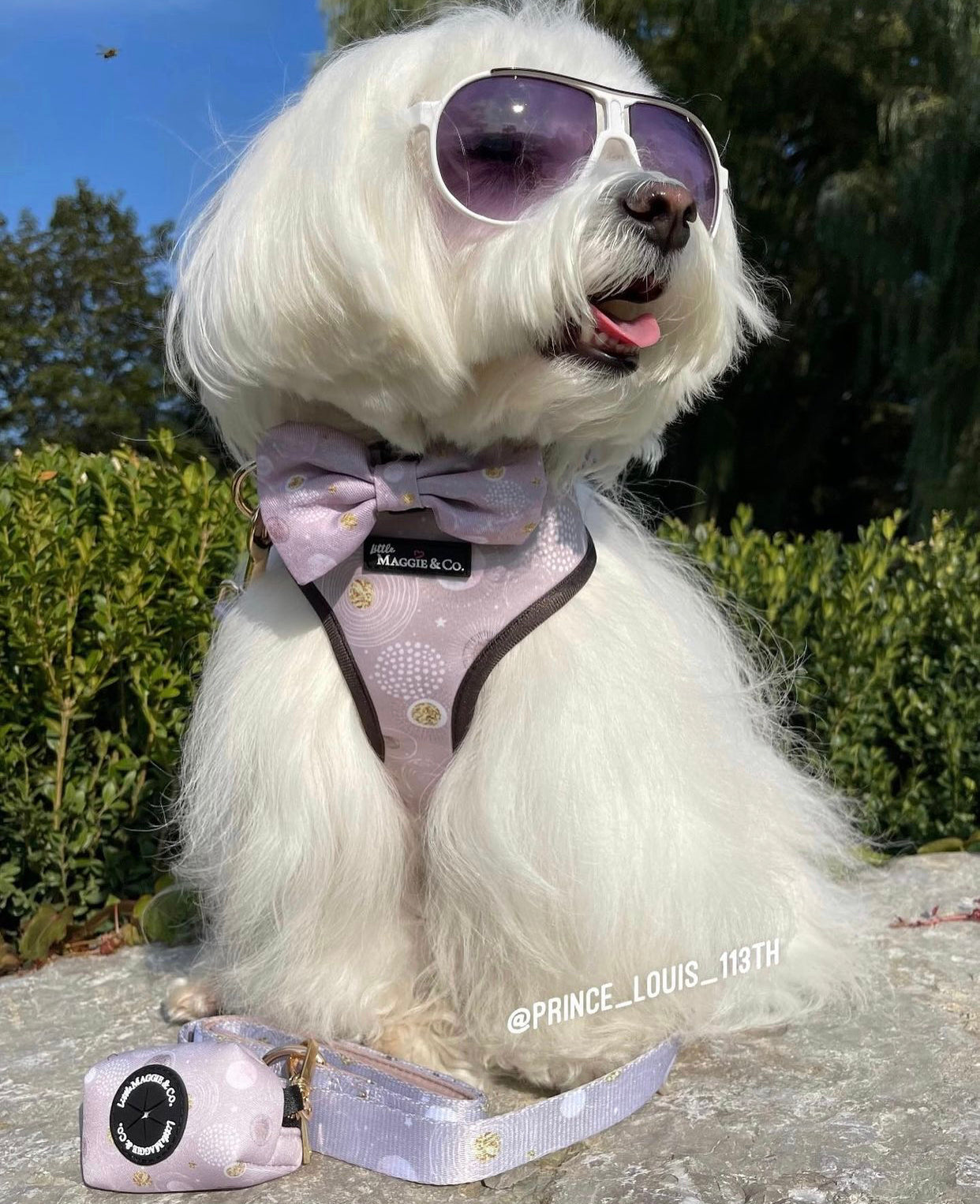 Essential Bundle: Cosmic