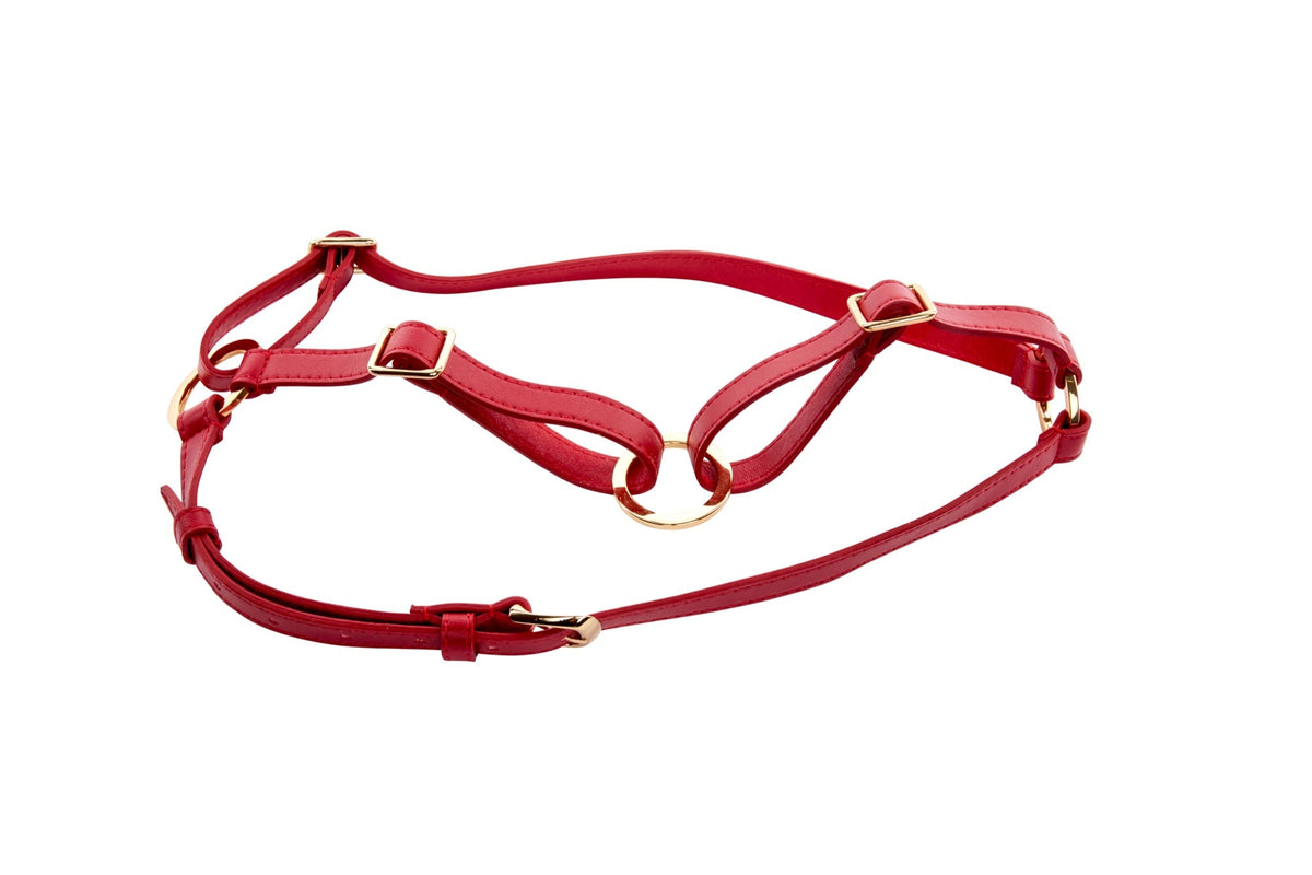 Allysa Payne XL Red Vegan Leather Dog Harness