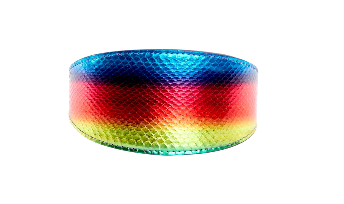 Allysa Payne Pride Collection. Rainbow Snake 3-Inch Wide Style Dog Collar