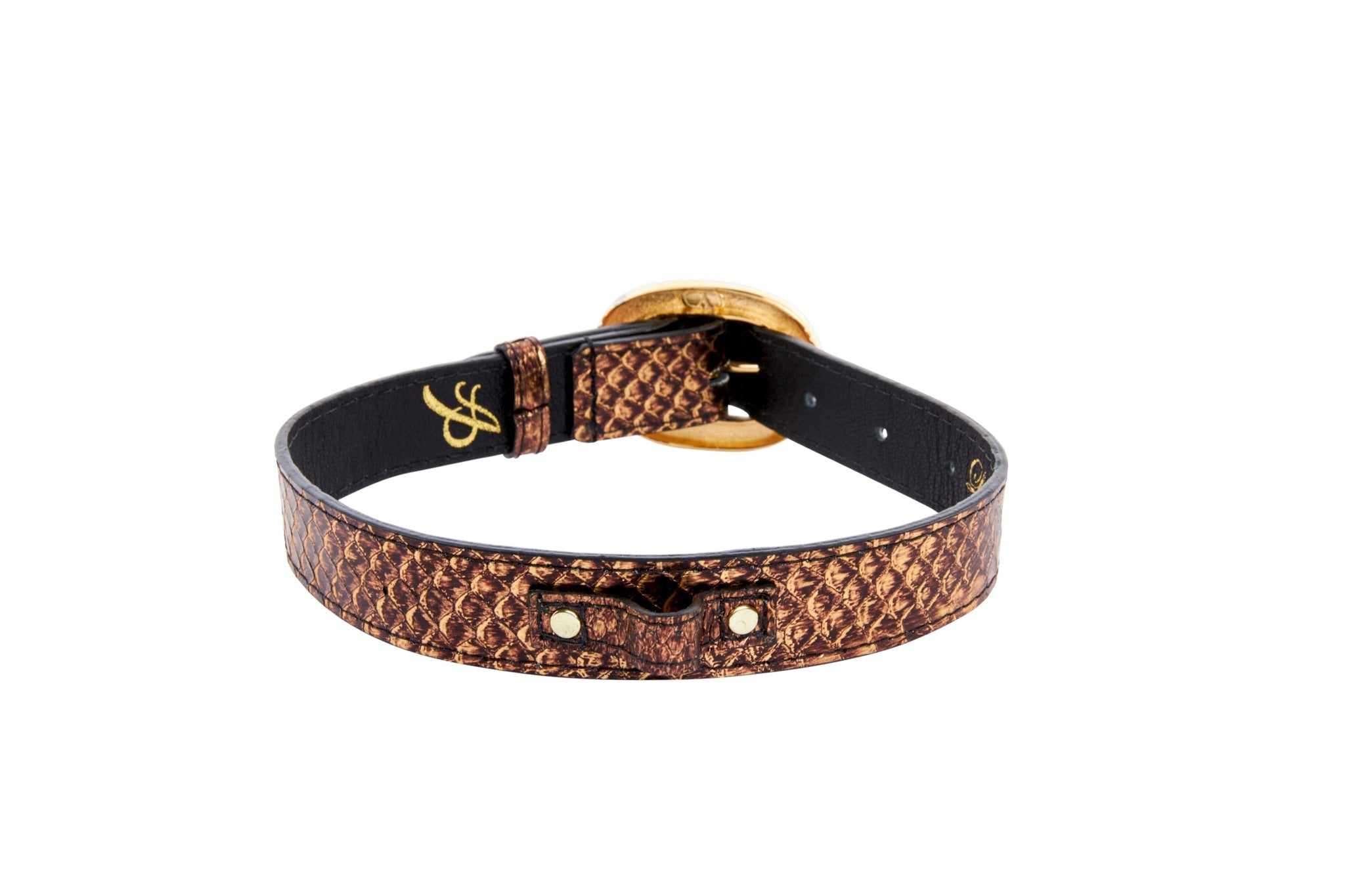 Bronze Gold Snake With Vintage Black & Gold Custom Italian Hardware Collar