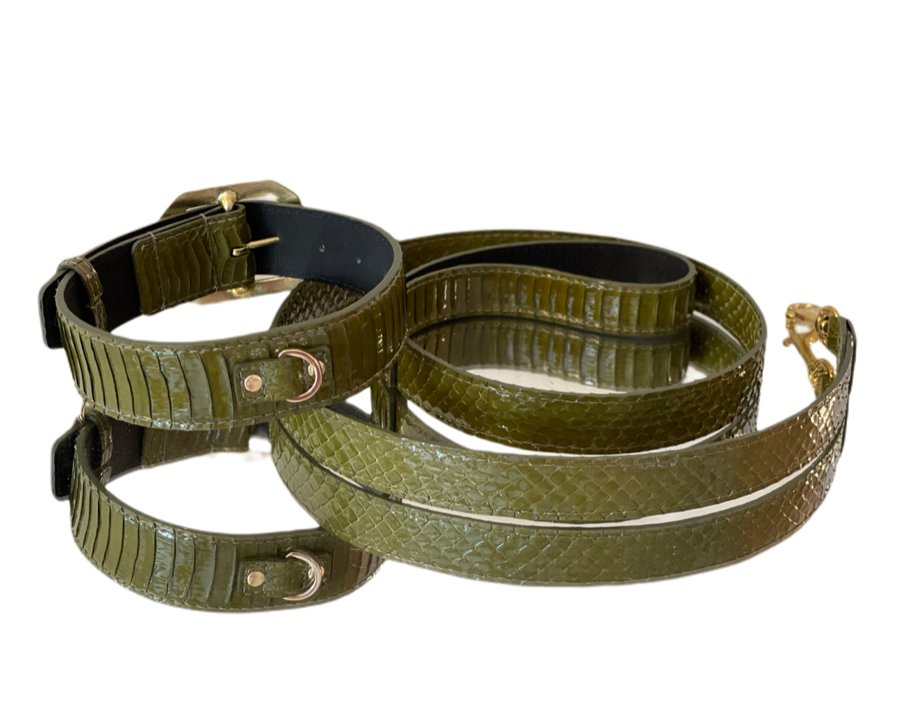 Allysa Payne Luxury Pet Fashion Olive Snakeskin Dog Collar & Leash Set