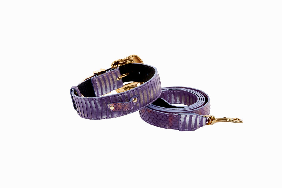 Allysa Payne Luxury Pet Fashion Purple/Silver Multi-Tone Snakeskin With Our Swarovski Crystal Hardware Dog Collar & Leash Set