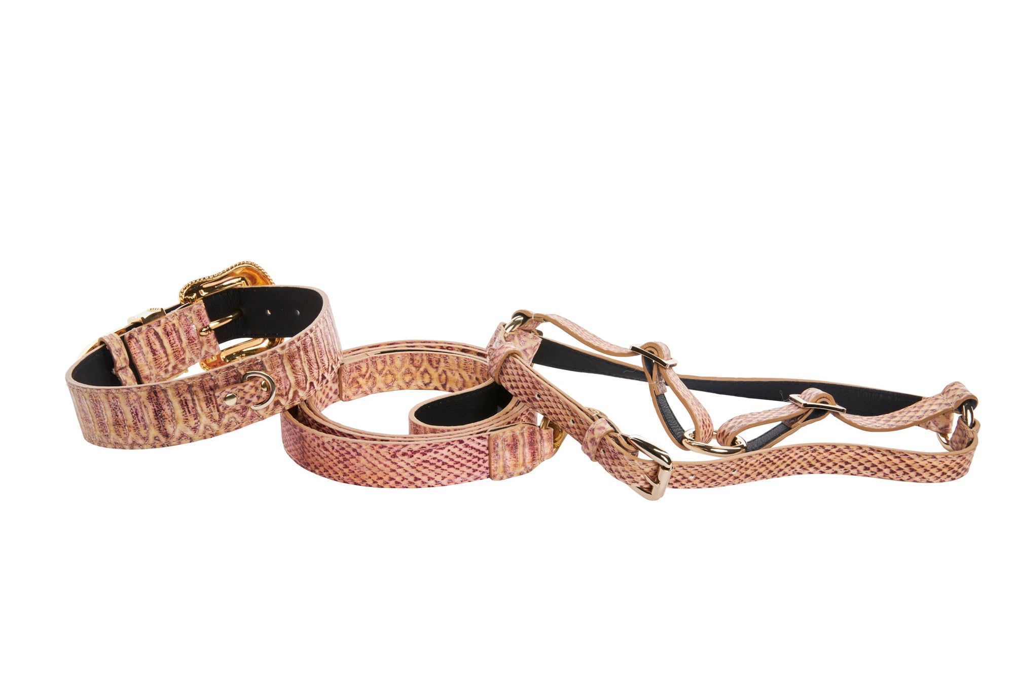 Allysa Payne Embossed Snake Italian Leather/Swarovski Crystal Buckle Dog Collar, Leash & Harness Set