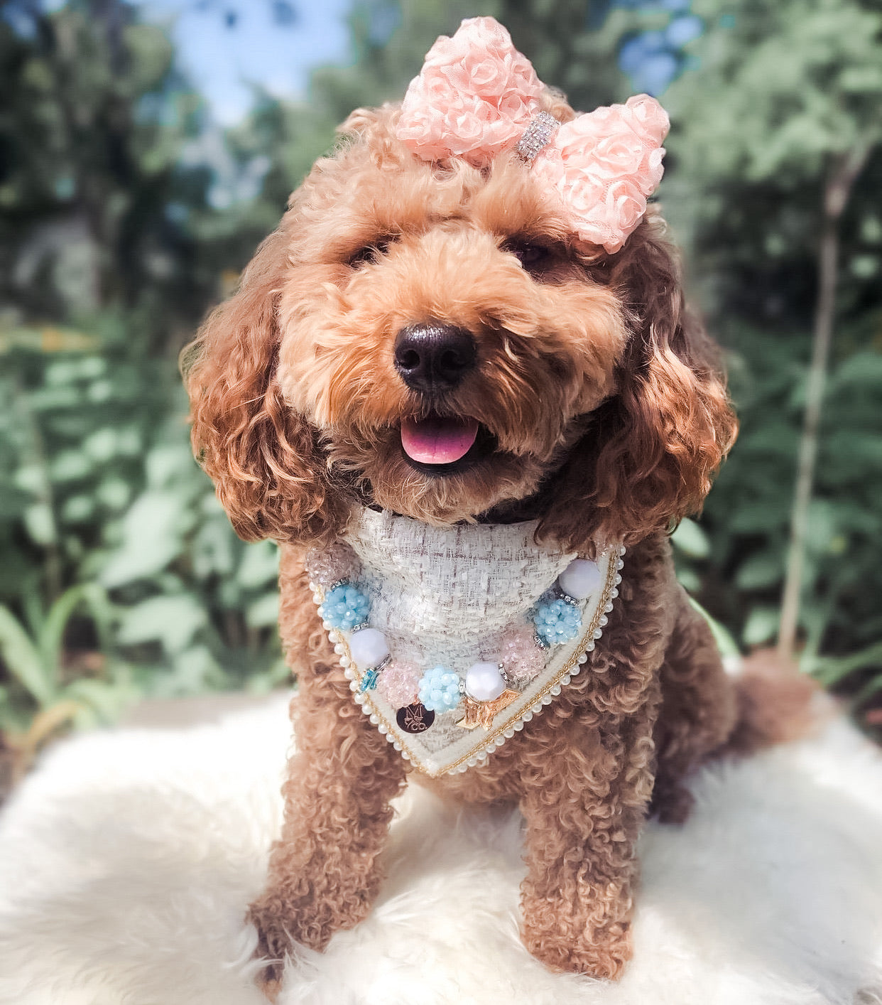 Coco Runway: Mademoiselle Coco Bandana