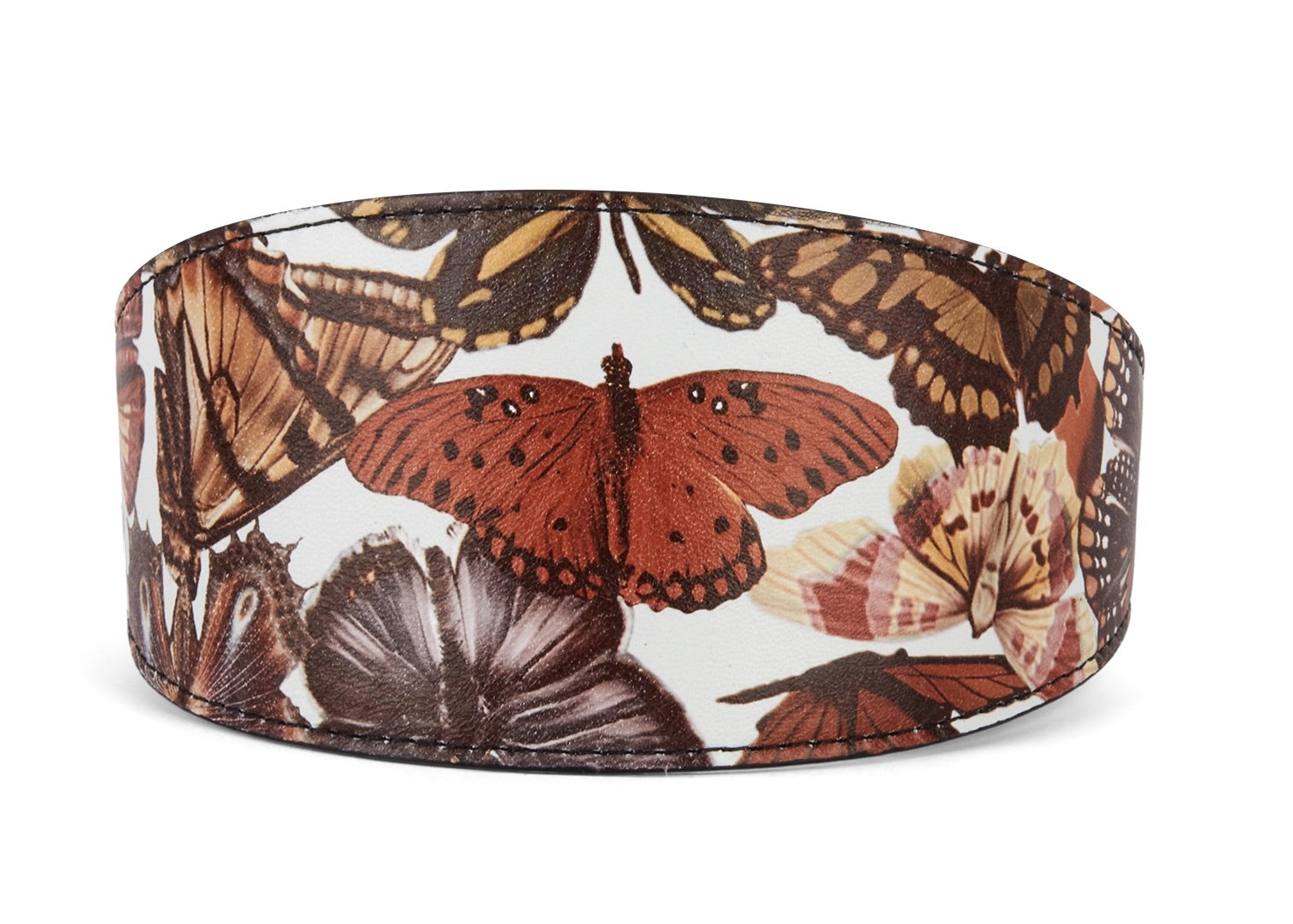 Allysa Payne Butterfly Print Italian Leather 3-Inch Wide Style Dog Collar