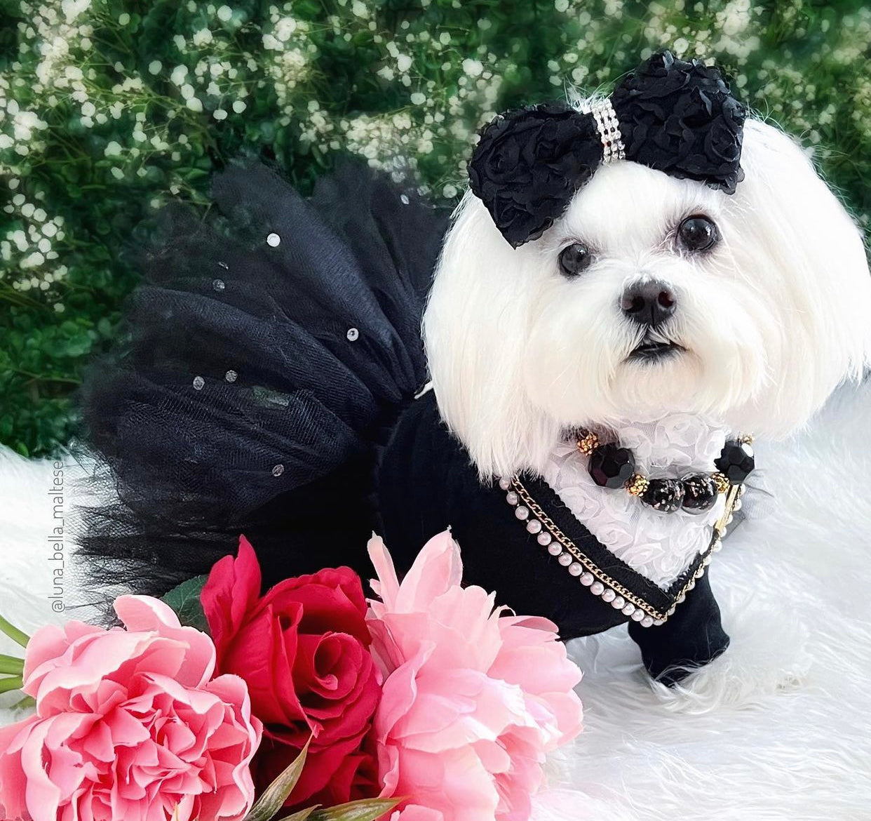 Forever Bliss: Bliss